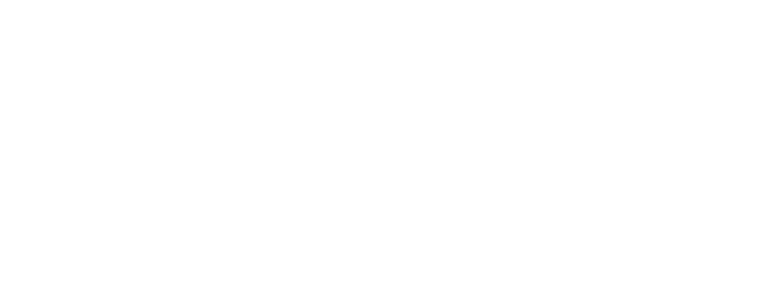 CFS White Logo